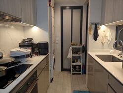 The Clement Canopy (D5), Apartment #499907941